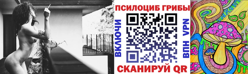 Купить  Южа  Галлюциногенные грибы MAGIC MUSHROOMS 